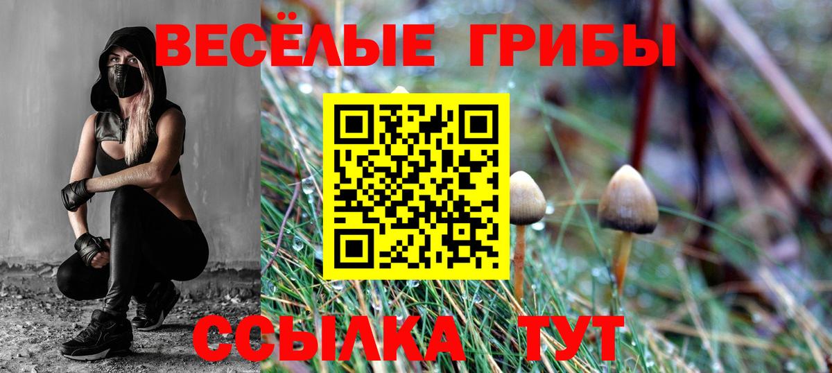 Губкинский  Галлюциногенные грибы MAGIC MUSHROOMS  Вход с VPN 