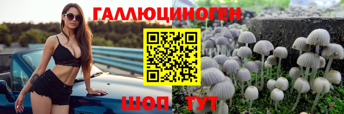 Псилоцибиновые грибы GOLDEN TEACHER Губкинский